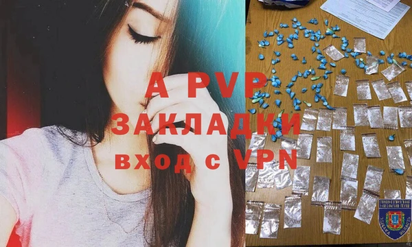 PSILOCYBIN Армянск
