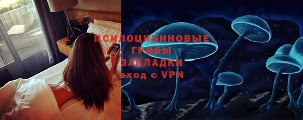 гашик Аркадак