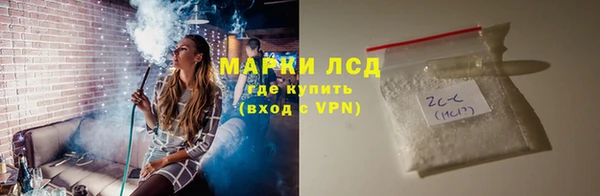 гашик Аркадак