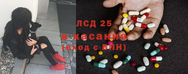 гашик Аркадак