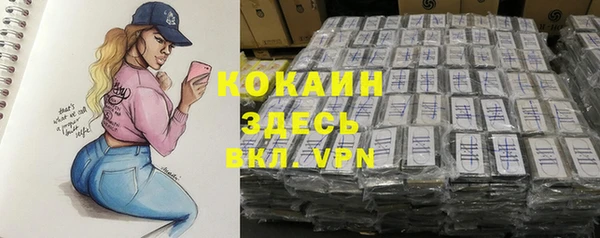 гашик Аркадак