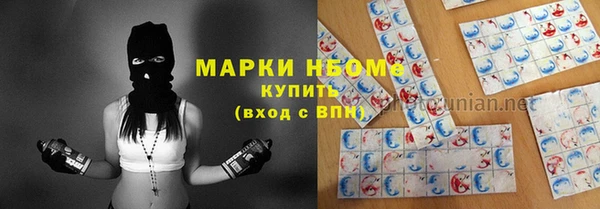 гашик Аркадак